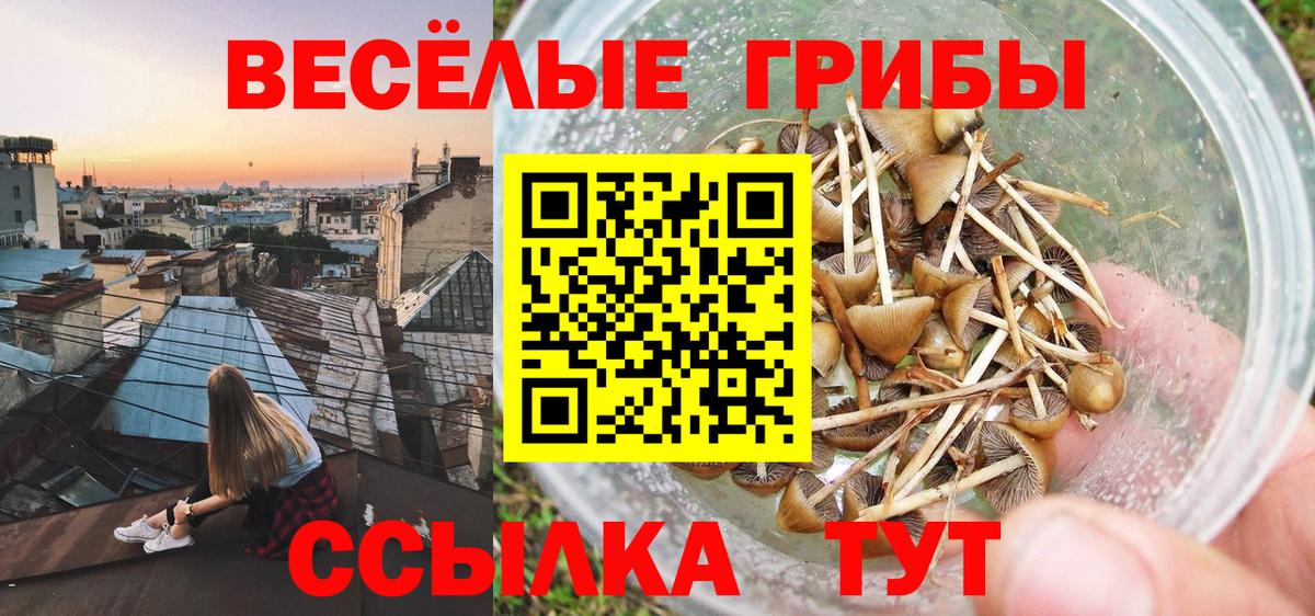 Галлюциногенные грибы MAGIC MUSHROOMS  Вход с VPN  Серпухов 
