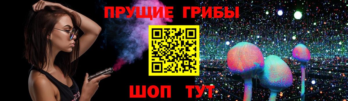 Псилоцибиновые грибы GOLDEN TEACHER Серпухов